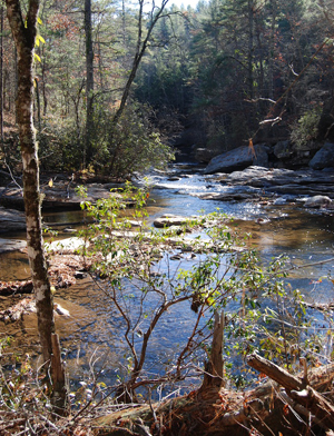 panther creek