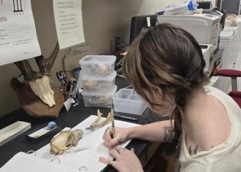 Larissa McPherson cataloging a specimen