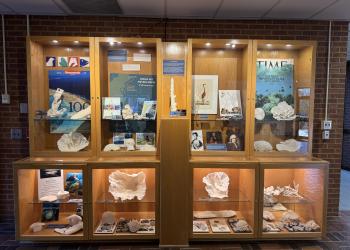 The exhibition case in Odum, which currently houses Dr. Porter's corals display.